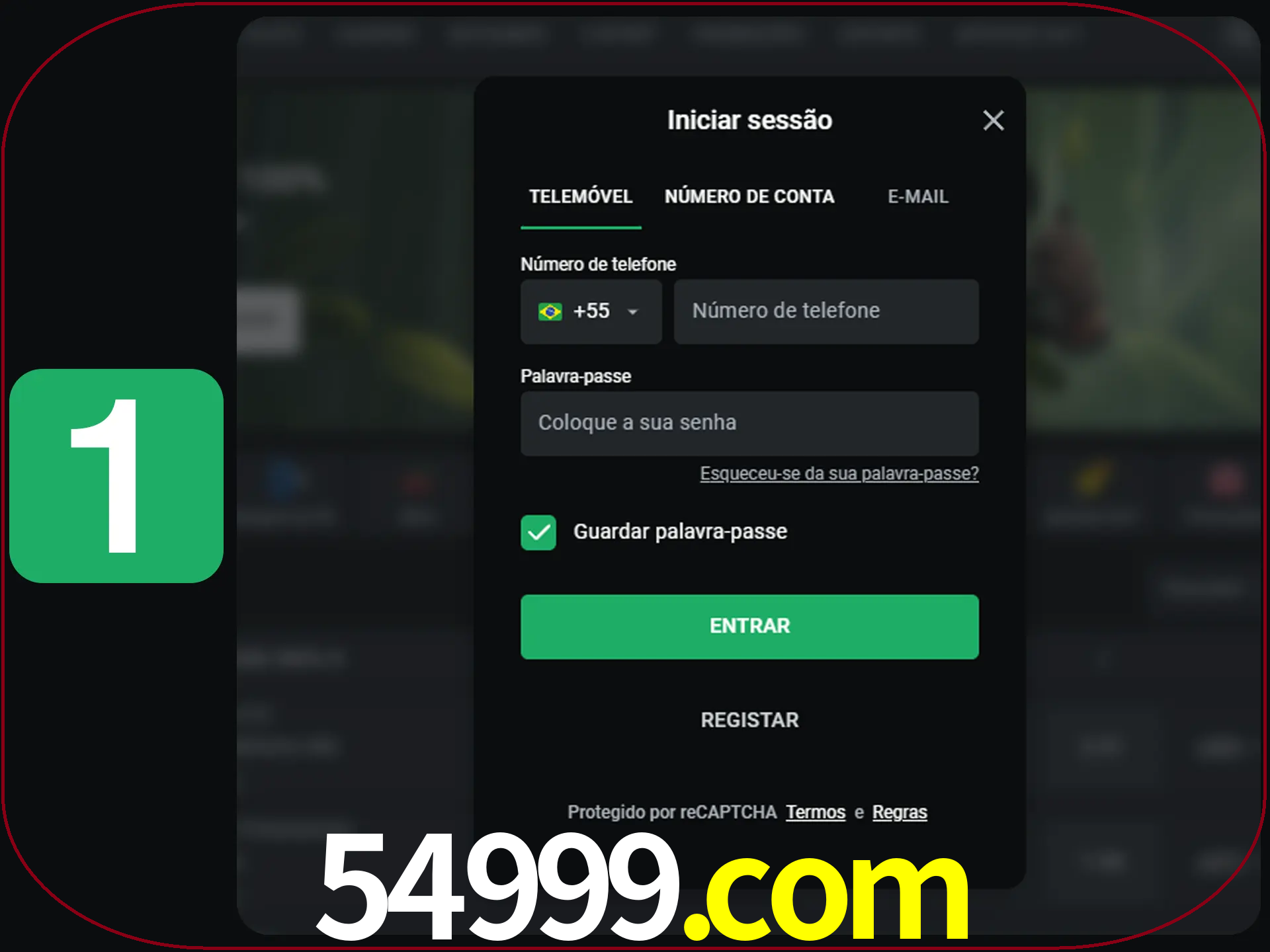 Clique no botão Entrar.